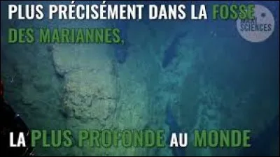Quelle est la profondeur de la fosse des Mariannes, dans l'Océan Pacifique ?