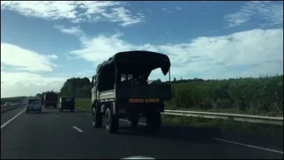 Tu décides de répondre à un quiz sur l'Armée de terre. Cependant, au fur et à mesure que tu avances dans le questionnaire, tu t'aperçois que ça parle d'un autre sujet. Quelle médaille est la plus appropriée selon toi ?