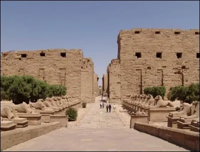 Je me suis retrouvé, un matin, seul devant cette allée de sphinx à tête de bélier, face à ce lieu parmi les plus anciens du monde, on parle de millénaires. 
Situé au nord de Louxor, on ne peut manquer d'être fasciné par cet ensemble de temples sur lesquels 1600 ans de travaux furent accomplis.