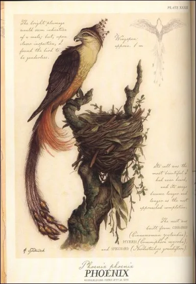 Comment s'appelle le méchant ogre ?