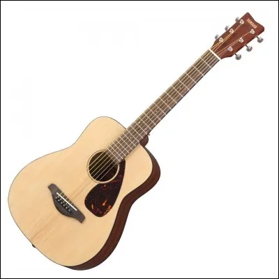 Quel chanteur &acirc;g&eacute; de 27 ans est souvent lui aussi accompagn&eacute; de sa guitare ?