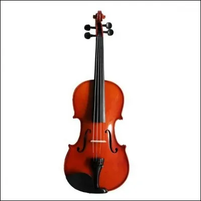 De quelle famille fait partie le violon ?