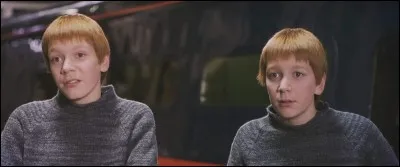 Comment s'appellent les frères jumeaux de Ron ?