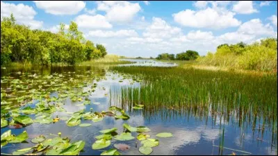 Dans quel Etat se trouve le parc national des Everglades ?