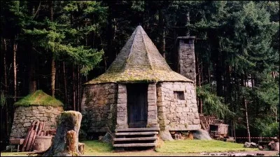 Où se trouve la cabane de Hagrid ?