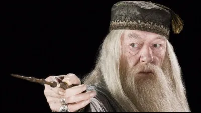 Quel est le nom de Dumbledore ?