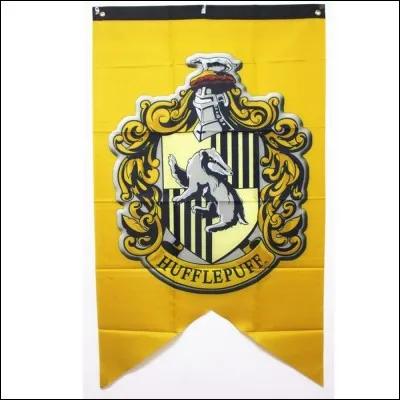 Qui est le professeur principal des Poufsouffle ?