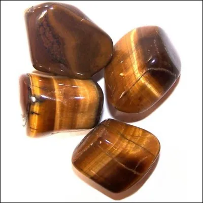 Quel est le nom de celle-ci ?