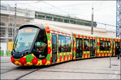 Combien y a-t-il de lignes de tramway &agrave; Montpellier ?