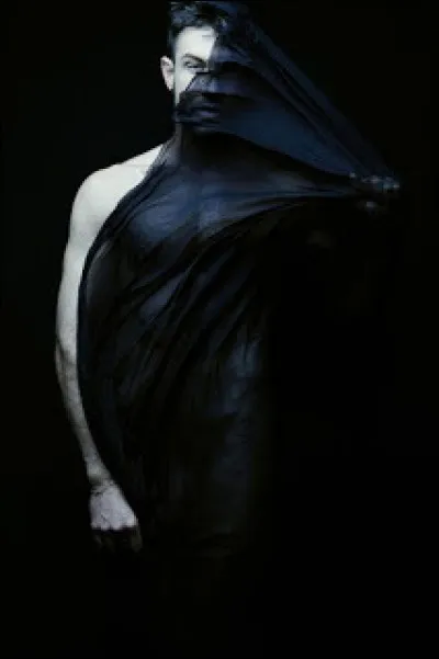 Hadès ne sortait guère de son royaume ténébreux : une fois pour l'enlèvement de Perséphone et une seconde fois pour se faire soigner sur l'Olympe la blessure infligée par une flèche. quel héros est l'instigateur de cette attaque ?