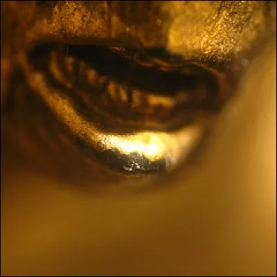 Le roi Midas obtint la faculté de changer en or tout ce qu'il touchait de quel Dieu ?