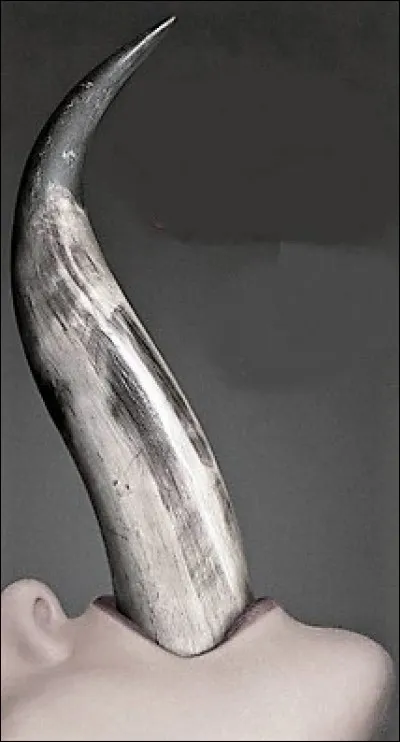 Qui est la mère du Minotaure ?