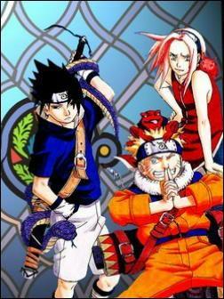 Depuis que Naruto et Sasuke se sont combattus, de quoi est marqu Sasuke ?