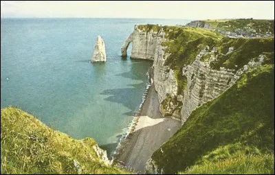 Quelle est l'intruse ?