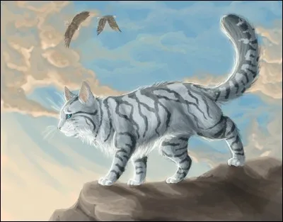 Tempête de Pluie est....