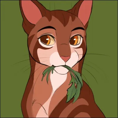 De qui Feuille de Lune a-t-elle été amoureuse ?