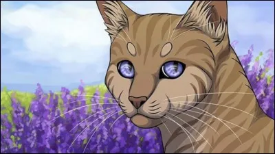 À l'époque, Pelage de Lion était amoureux de...