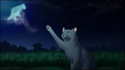 Mais il finit par avoir des chatons avec...