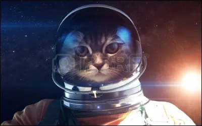 Quel est votre métier si on vous appelle "astronauta" ?