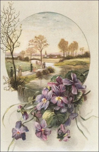 Quel auteur fait de la violette la fleur de l'amour rivale de la rose ?