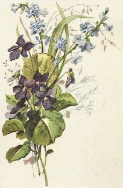 Qui la marquise de Sévigné appelait-elle "humble violette" ?
