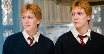 Comment les frères Weasley viennent-ils chercher Harry ?