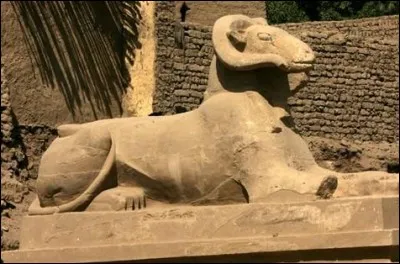 Le criosphinx ou sphinx criocéphale se caractérise par un corps de lion accroupi ou couché aux longues pattes et une tête de bélier aux cornes recourbées.