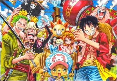 Moyen : Quel est l'ordre d'entrée des Mugiwaras dans l'équipage ?