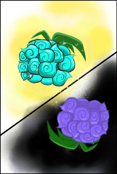 Difficile : Le fruit du démon de Marshall D Teach alias Barbe Noire (le Yami Yami no Mi) est :