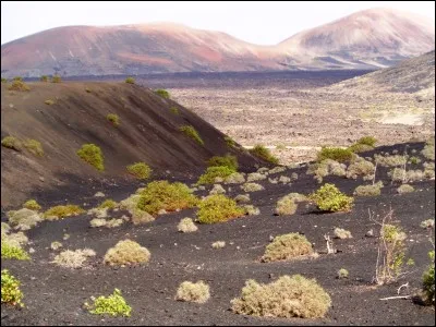 Voici à quoi ressemble l'intérieur des terres en Islande.