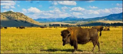 L'&Eacute;tat de l'&eacute;galit&eacute; / Equality State, c'est :