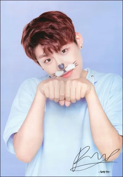 Qui était avec Woo-jin pour la mission couple de Wanna One Go ?