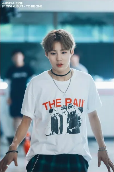 De quel groupe faisait partie Sung-woon avant Produce 101 ?