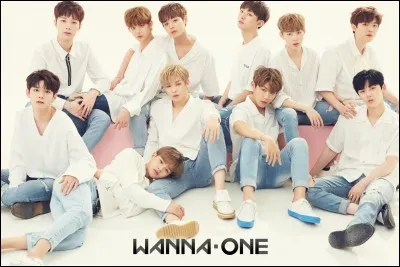 En quelle année les Wanna One vont-ils disband ?
