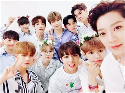 Quand ont-ils fait leurs débuts ?