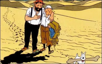 Dans quel album Tintin le rencontre-t-il ?