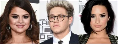 Demi n'a jamais apprécié Niall Horan des One Direction.