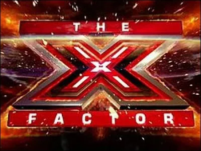 Qui a été jury dans "X-Factor" ?