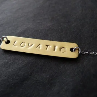 Qui appelle ses fans les Lovatics ?