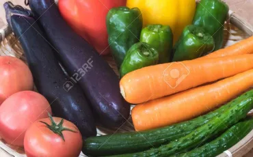 Quiz Couleurs