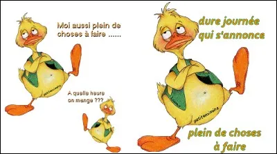 Que préfères-tu faire ?