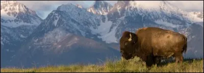 L'Etat du Trésor / Tresure state / ou Etat du vaste ciel / Big Sky country, c'est :