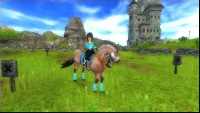 Pourquoi quand une personne la voit, elle appelle les autres pour faire une foule géante ?