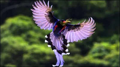 Langue parlée dans la région du Caucase !