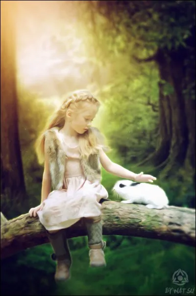 Pour toi, ton maître doit être...