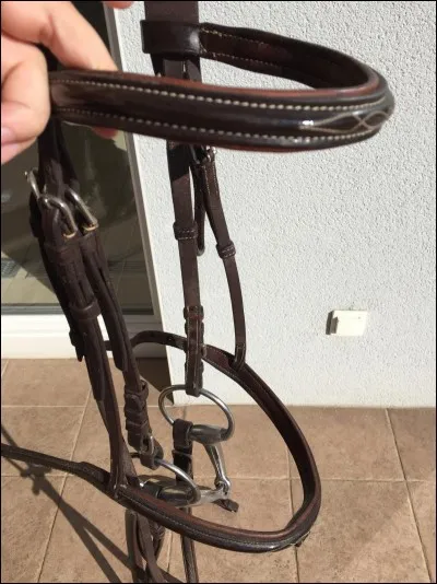 Quelle est la partie du filet la plus haute ?