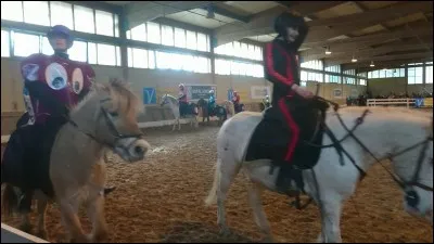 Commet s'appelle l'élément principal qui tient l'étrier ?