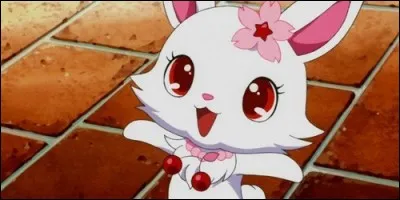 Comment s'appelle la propriétaire de Ruby dans "Jewelpets, le royaume des bijoux" ?
