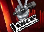Test Pourrais-tu gagner ''The Voice'' ?