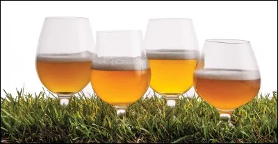 Quelle saison préfères-tu ?